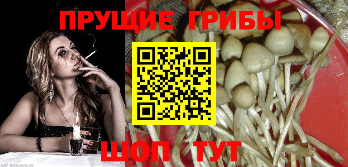 Галлюциногенные грибы MAGIC MUSHROOMS  Псилоцибиновые грибы Magic Shrooms  Вход с VPN  Нижнеудинск 